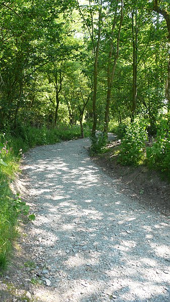 File:Hincaster Trail - panoramio (1).jpg