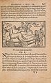 Historiae de gentibus septentrionalibus (Page 247) BHL41862690.jpg