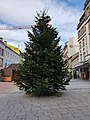 Hofer Weihnachtsmarkt 20191114 01.jpg