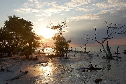 Sunset in Punta Norte, Holbox.