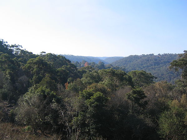 The view from Rofe Park across Hornsby Heights and Mount Colah. Hornsby Heights view from Rofe Park.jpg