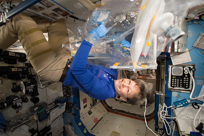 File:ISS-52 Peggy Whitson works in the Destiny lab.jpg