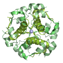 Insuline lispro dodécamère 6NWV.png