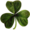 Irish clover.png
