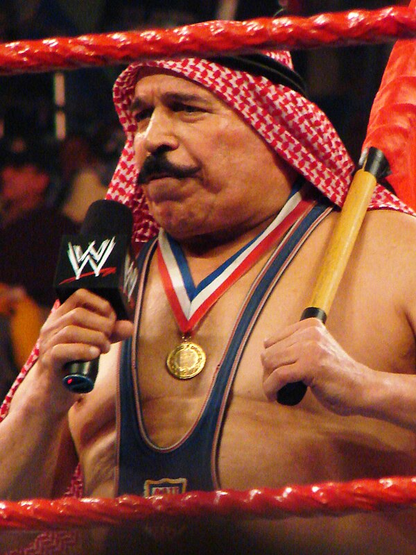 Sheik in 2008