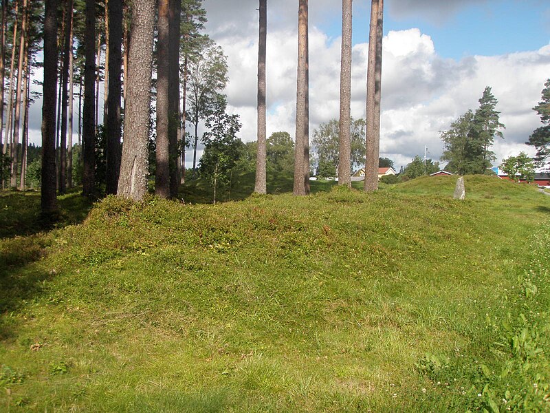 File:Järnåldersgravfältet i Stenehed 4.JPG