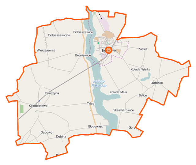 Mapa konturowa gminy Janikowo, u góry znajduje się punkt z opisem „Janikowo”