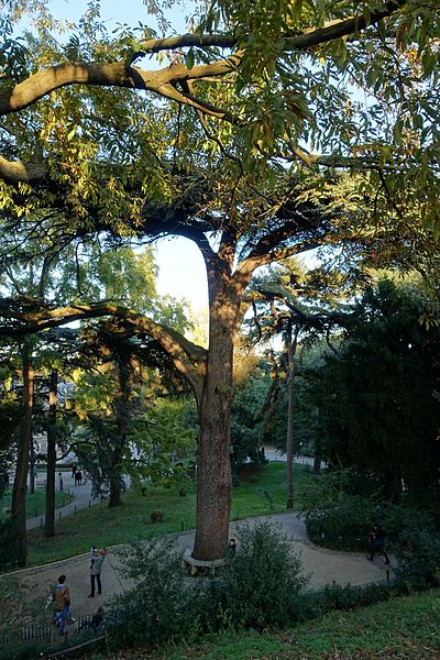 File:Jardin des Plantes @ Paris (30631234400).jpg