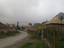 Jelšovec.jpg 