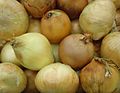 Jumbo Spanish onions for sale in supermarket.JPG