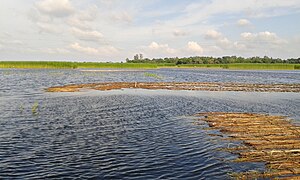 নাটোর জেলা