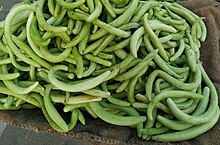 Armenian Cucumber is called Kakadi in North India. This one was shot at a market in Meerut, Uttar Pradesh, India. Kakdi.jpg