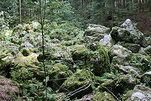 Boulder stream of the Kaser Steinstube near Triftern Kaser Steinstube.jpg