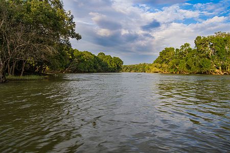 Kaveri river flowing in the Dubare forest, Coorg.