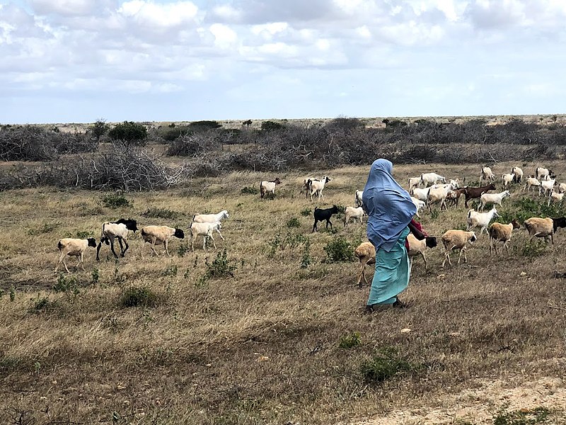 File:Kismayo mum.jpg