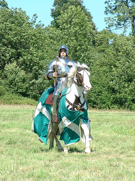 File:Knight at Battle Abbey.jpg