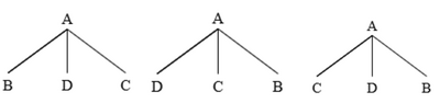 Trei copaci generați de regula PS A-> B, C, D