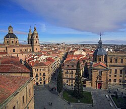 Panorama Salamance s katedrale