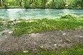 Français : La Sorgue le 31 mai 2008 avec 1,53 mètres de hauteur, La Fontaine de Vaucluse.