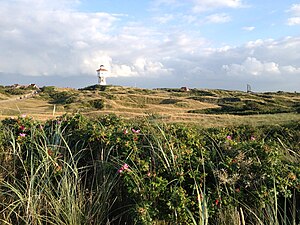 Langeoog: Geografie, Flora und Fauna, Geschichte