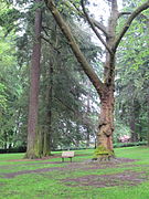 Laurelhurst Park (2012)