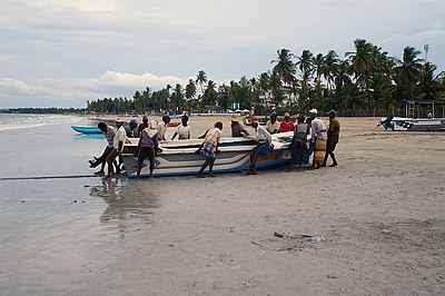 Les pêcheurs de la plage de Trinquemalay, Province de l’Est au Sri Lanka.-