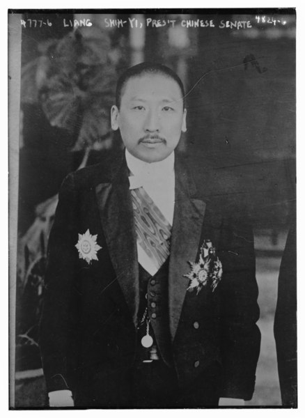 File:Liang Shih-Yi, Pres't. Chinese Senate LCCN2014708358.tif