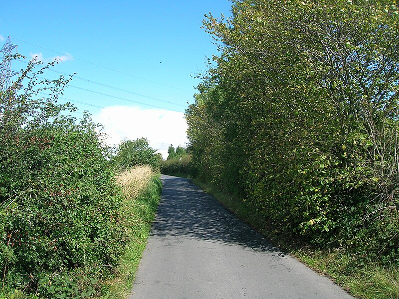File:Low Lane towards Hooton Levitt - geograph.org.uk - 2573361.jpg