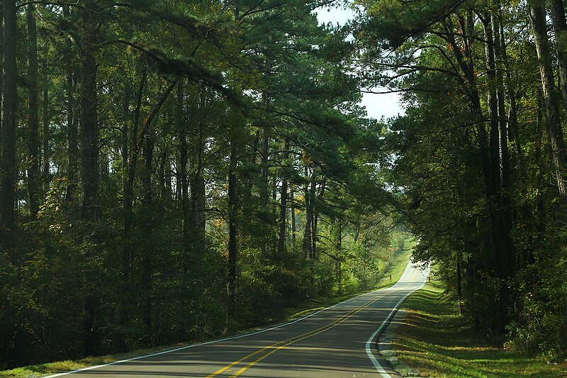 File:MS35sRoad-ThroughBienvilleForest (26514856259).jpg