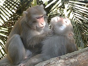 Kenting-Nationalpark: Lage, Klima und Verkehr, Geschichte, Flora und Fauna