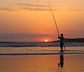 * Nomination Man fishing at sunset in Mehdya beach, Morocco. By User:Mohamed Haddi --Reda benkhadra 16:12, 15 June 2016 (UTC) * Decline Looks unsharp. --Peulle 16:52, 15 June 2016 (UTC)
