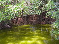 Miniatura para Laguna de las Garzas