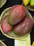 Mallika (mango) - Wikipedia