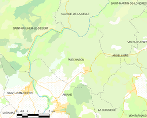 Poziția localității Puéchabon