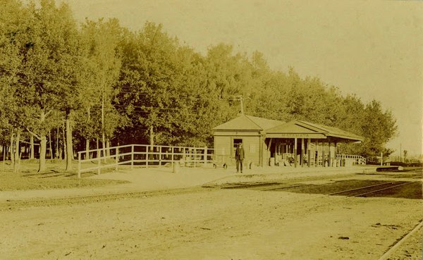 Plantations of oak, larch, chestnut and ash were established near many railway stations. Matamata’s is registered in Council’s District Plan for Hetan