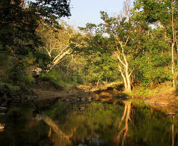 Image: Melghat lake