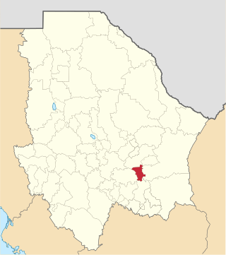 <span class="mw-page-title-main">San Francisco de Conchos Municipality</span> Municipality in the Mexican state of Chihuahua