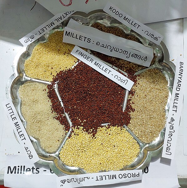 File:Millets of Kerala.jpg