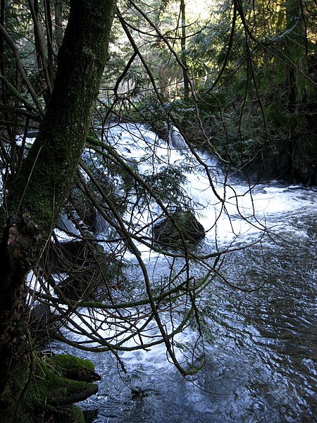 File:Millstream falls in Gamble park. READ INFO IN PANORAMIO-COMMENTS - panoramio.jpg