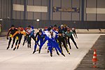 Miniatura per Patinatge de velocitat sobre gel marató