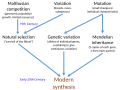 Thumbnail for Modern synthesis (20th century)