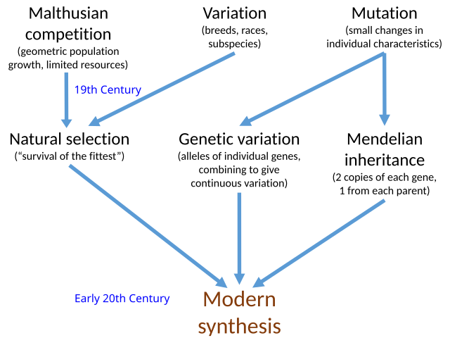 Evolutionary Programming: The Survival of the Fittest Data Models