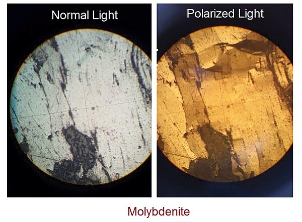 Molybdenite under normal and polarized light