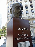 Santiago Ramón Y Cajal: Nombre, Infancia y juventud, Vida adulta y carrera profesional