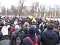 Mothers' rally. St. Petersburg, 2019-02-10. Protesters in Alexander Garden.