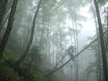 Tập_tin:Mount_Olympos_Prionia_20070922.JPG