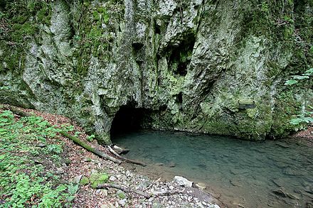Крас увидим. Пещера Мацоха в Чехии. Провал Мацоха Чехия. Моравский крас Чехия. Карстовые пещеры Чехия.
