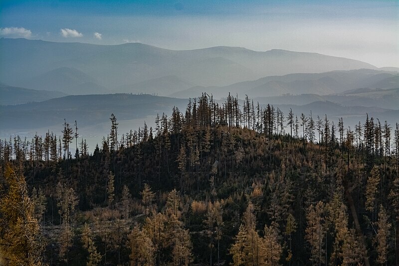 File:Najvyšší vrch NPR Uhlištiatka.jpg