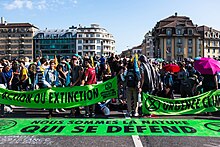 Des manifestants sur une place, derrière des banderoles vertes « Action ou extinction », « Nous sommes la nature qui se défend », etc.