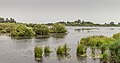 * Nomination Nature area De Kraanlânnen of It Fryske Gea. View from the bird watching hut. --Agnes Monkelbaan 04:45, 4 September 2019 (UTC) * Promotion  Support Good quality. --Manfred Kuzel 04:53, 4 September 2019 (UTC)